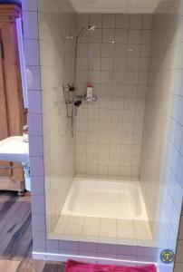 La salle de bains est pourvue d'une douche et d'une baignoire. dans l'établissement Charmante Waldrandidylle, à Kreuzlingen