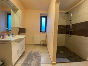 a bathroom with a sink and a shower at Ferienwohnung Burgberg in Stadtkyll +17 photos
