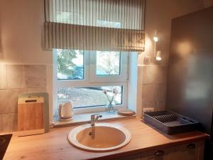 bagno con lavandino e finestra di Pine tree cottage a Zlatibor Altre 37 foto