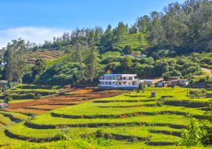 a house on a hill next to a field at Silent Retreat Ooty Farm Resort by VOYE HOMES in Ooty