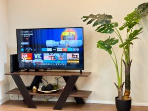 TV a/nebo společenská místnost v ubytování Sky Terrace 新築独栋戸建 阳光露台观景天空树