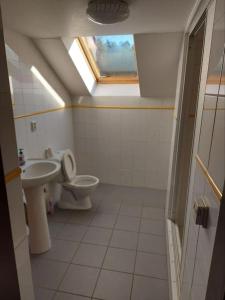 bagno con servizi igienici, lavandino e finestra di Apartmán U Davida a Chvaleč