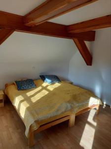 una camera da letto con un grande letto con cuscini blu di Apartmán U Davida a Chvaleč