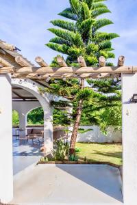 a palm tree in a patio with a wooden pergola at Sea La Vie - Holiday Home in Albion