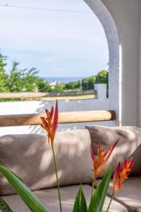 a plant with red flowers in front of some pillows at Sea La Vie - Holiday Home in Albion