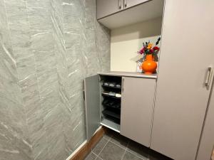 Kuchyň nebo kuchyňský kout v ubytování Sky Terrace 新築独栋戸建 阳光露台观景天空树