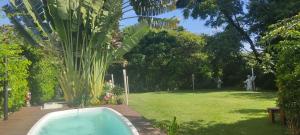 uma piscina num jardim com uma palmeira em BemVyver em Indaiatuba