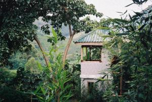 a small house in the middle of a forest at Bwindi My Home in Kinkizi