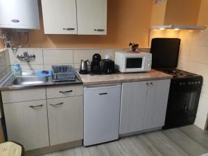 uma pequena cozinha com um micro-ondas e um lavatório em Apartments Krste em Trpejca