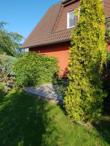 a house with a large bush in front of it at Ferienhaus-Windflüchter Hirtenweg 3B in Zingst