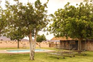 una piscina con 2 sillas y un árbol en Little Sossus Campsite en Maltahöhe
