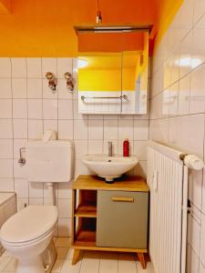 a bathroom with a toilet and a sink at Panorama Apart Bad Säckingen in Bad Säckingen