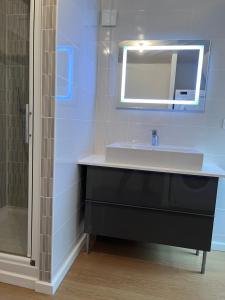 La salle de bains est pourvue d'un lavabo et d'un miroir. dans l'établissement Situé à 100 mètres de la plage duplex de 65 m2, à Évian-les-Bains