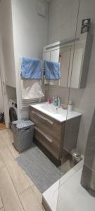 La salle de bains est pourvue d'un lavabo et d'un miroir. dans l'établissement Studio 2 pièce charmant et calme, à Boulogne-Billancourt