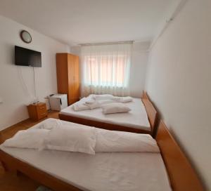 a bedroom with two beds and a tv on the wall at Pensiunea Trei Brazi in Târgu Ocna