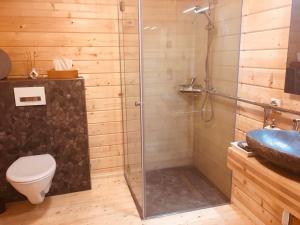 a bathroom with a shower and a toilet and a sink at Lodge-Altjeßnitz-Goitzsche 