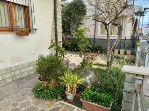um jardim com plantas em vasos ao lado de um edifício em Bilocale al mare em Rimini