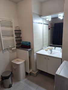 a bathroom with a sink and a toilet and a mirror at Appartement T2 à Montpellier in Montpellier