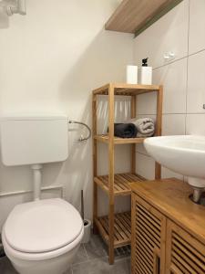 a bathroom with a toilet and a sink at Einfaches Appartement "Daniel" in Halle in Kröllwitz