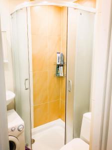 een douche met een glazen deur in de badkamer bij Apartment in the City center in Druskininkai