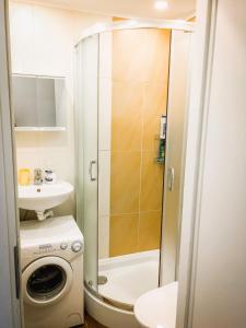 a bathroom with a shower and a washing machine at Apartment in the City center in Druskininkai