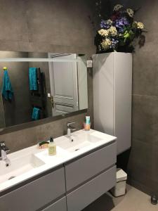 a bathroom with a white sink and a mirror at Paisible escale chez l'habitant in Vitry-sur-Seine +21 photos