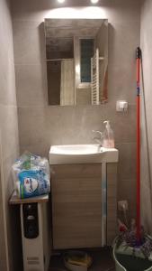 a bathroom with a sink and a mirror at Habitaciones en apartamento compartido de Pozuelo de Alarcón in Pozuelo de Alarcón