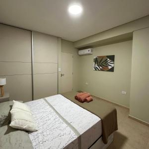 福爾摩沙的住宿－Costado Norte，一间卧室,卧室内配有一张大床