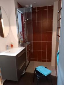 ein Bad mit einer Dusche, einem Waschbecken und einem Spiegel in der Unterkunft l'annexe du jardin in Saint-Doulchard