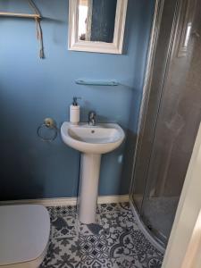 La salle de bains est pourvue d'un lavabo et d'une douche. dans l'établissement Cosy cottage Atlantic way, à Carnlough