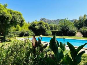 une piscine au milieu d'un jardin dans l'établissement Les Gîtes et la Chambre de Labahou SPA, à Anduze