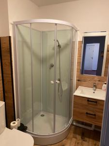 La salle de bains est pourvue d'une douche en verre et d'un lavabo. dans l'établissement Warszawa Zachodnia, à Varsovie
