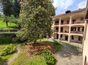 un vecchio edificio con un albero nel cortile di Casa Valduggia a Valduggia