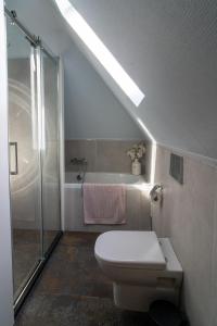 y baño blanco con aseo y ducha. en Huize Jente en Ryptsjerk