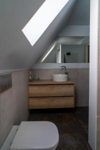 een badkamer met een wastafel en een dakraam bij Huize Jente in Ryptsjerk
