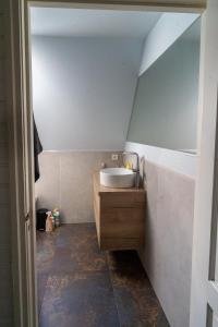 baño con lavabo en una habitación en Huize Jente en Ryptsjerk