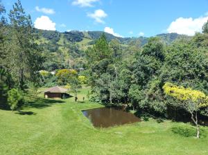 Blick auf ein Feld mit einem Teich und Bäumen in der Unterkunft Chalé Portal Lazer in Gonçalves
