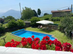 a garden with red flowers and a swimming pool at BILBO Near ático rural con terraza in Basauri