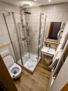 a bathroom with a shower and a toilet and a sink at Hotel am Rathaus in Kassel