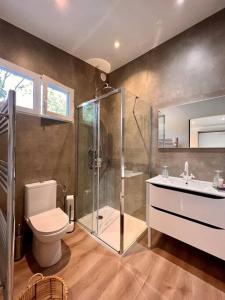 uma casa de banho com um chuveiro, um WC e um lavatório. em Cottage chaleureux avec jacuzzi en pleine nature em Grasse