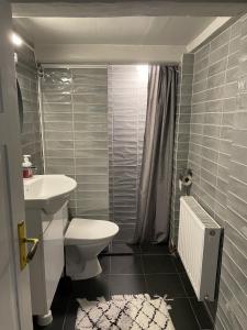 La salle de bains est pourvue de toilettes, d'un lavabo et d'une douche. dans l'établissement Trennegården B&B, à Mjöhult