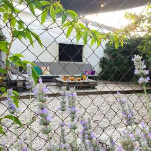 ロマン・シュル・イゼールにあるAppartement rez-de-chaussée et terrasse privativeのテント前の紫花の柵