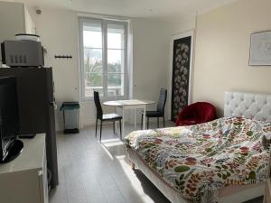 1 dormitorio con 1 cama, mesa y sillas en Studio meublé et lumineux 20m2 en Vittel