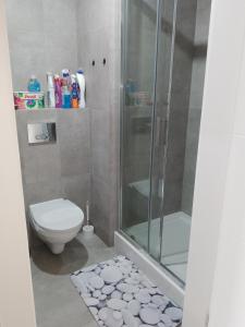 a bathroom with a shower and a toilet at Na Wydmach u Iwony in Międzywodzie