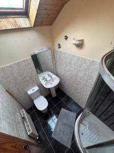 a bathroom with a sink and a toilet and a shower at Tara Vista Apartment in Navan