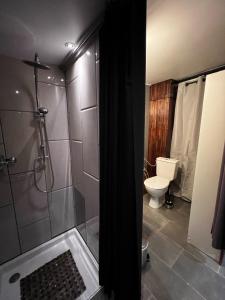 a bathroom with a shower and a toilet at Studio Cosy KAZADALO, Deux Rives - Sainte-Suzanne in Sainte-Suzanne