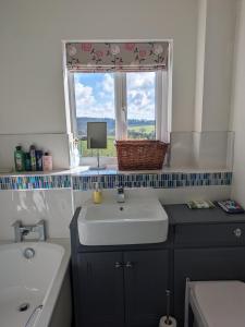 a bathroom with a sink and a window at Pool Farm in Redditch