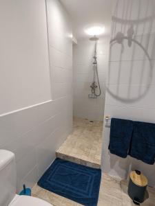 een badkamer met een douche en een blauw tapijt bij Les Jolis Nids - Studio Rouge Gorge in La Roche-Posay