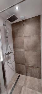 een douche met een glazen deur in de badkamer bij Le Flocon du bord du lac in Gérardmer