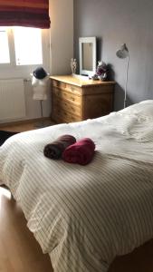 a bedroom with a bed with two pillows on it at Du côté des vignes en Alsace in Turckheim